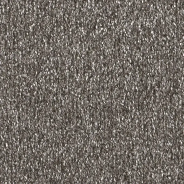 Draufsicht auf Vorwerk Celina 7H51 eisenschmelz Teppichboden mit Preisschild 89,91 €/m²